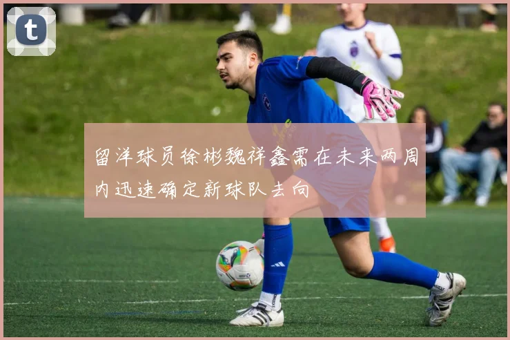 留洋球员徐彬魏祥鑫需在未来两周内迅速确定新球队去向