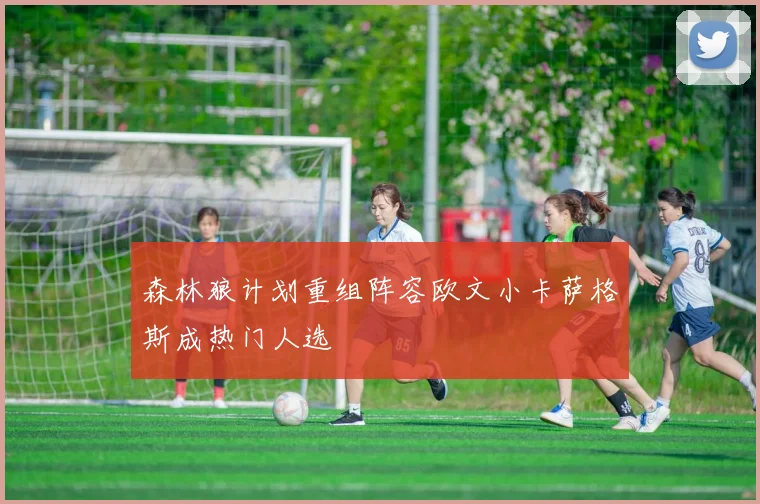 森林狼计划重组阵容欧文小卡萨格斯成热门人选